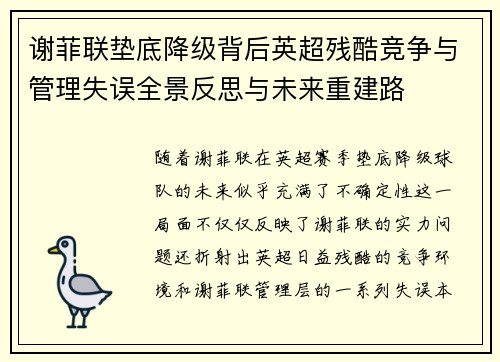 谢菲联垫底降级背后英超残酷竞争与管理失误全景反思与未来重建路